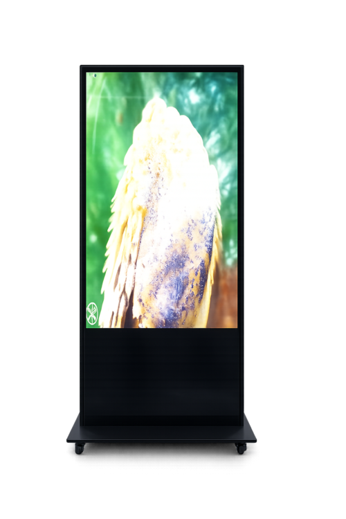 55“ Touch Digital Signage